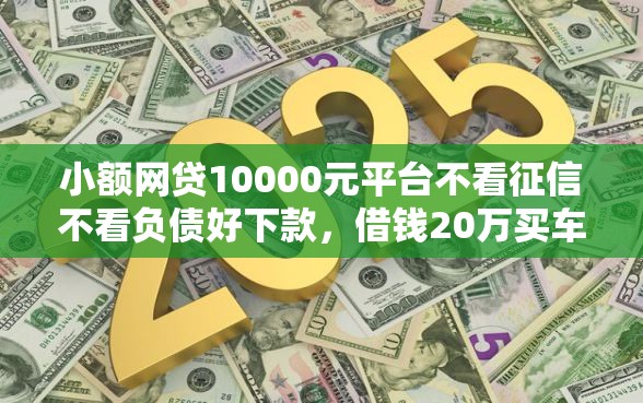 小额网贷10000元平台不看征信不看负债好下款，借钱20万买车的7个平台介绍