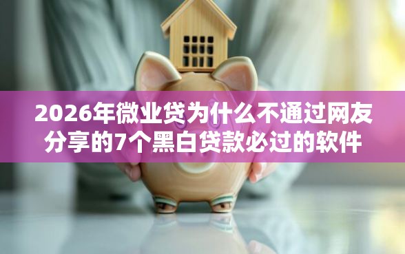 2026年微业贷为什么不通过网友分享的7个黑白贷款必过的软件我觉得不错！