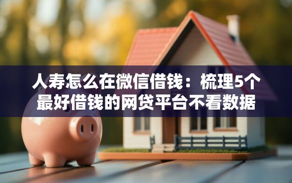 人寿怎么在微信借钱：梳理5个最好借钱的网贷平台不看数据