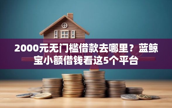 2000元无门槛借款去哪里？蓝鲸宝小额借钱看这5个平台