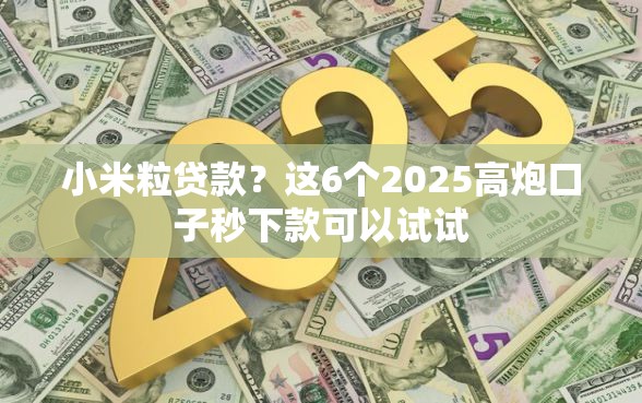 小米粒贷款？这6个2025高炮口子秒下款可以试试