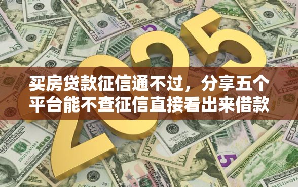 买房贷款征信通不过，分享五个平台能不查征信直接看出来借款额度