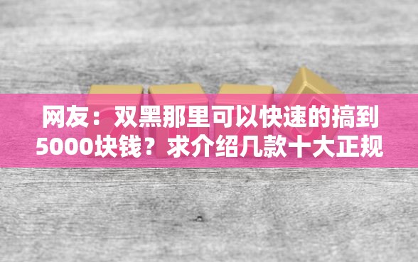 网友：双黑那里可以快速的搞到5000块钱？求介绍几款十大正规网贷平台排名不分先后