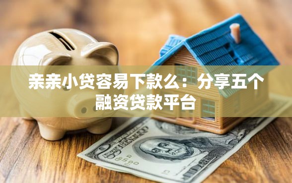 亲亲小贷容易下款么：分享五个融资贷款平台