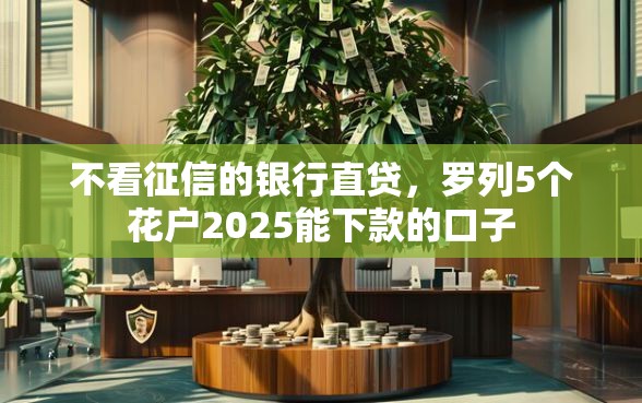 不看征信的银行直贷，罗列5个花户2025能下款的口子