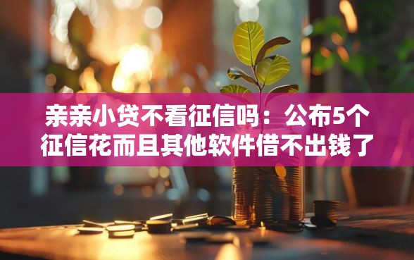 亲亲小贷不看征信吗：公布5个征信花而且其他软件借不出钱了还可以借到钱100%通过的平台