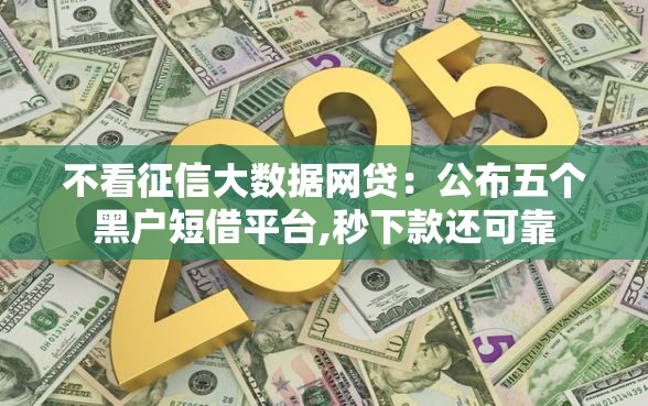 不看征信大数据网贷：公布五个黑户短借平台,秒下款还可靠