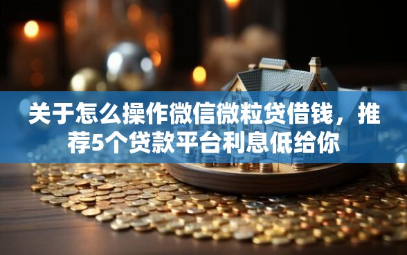 关于怎么操作微信微粒贷借钱，推荐5个贷款平台利息低给你