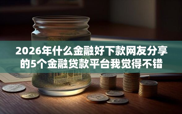 2026年什么金融好下款网友分享的5个金融贷款平台我觉得不错！