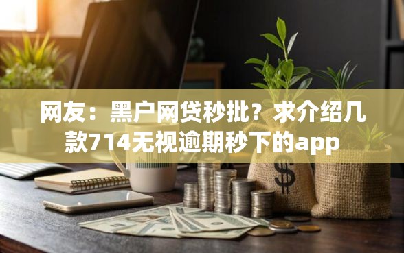 网友：黑户网贷秒批？求介绍几款714无视逾期秒下的app
