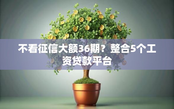 不看征信大额36期？整合5个工资贷款平台