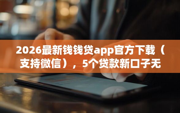 2026最新钱钱贷app官方下载（支持微信），5个贷款新口子无私分享