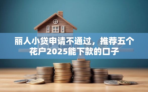 丽人小贷申请不通过，推荐五个花户2025能下款的口子