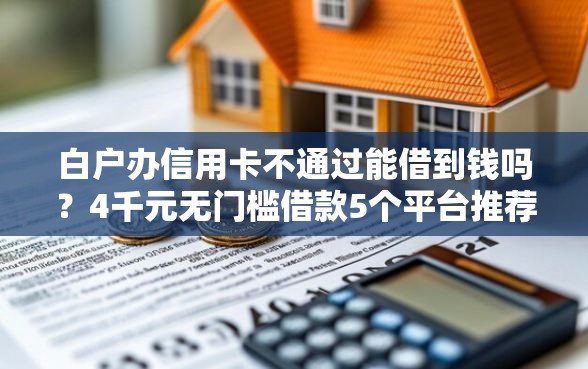 白户办信用卡不通过能借到钱吗？4千元无门槛借款5个平台推荐