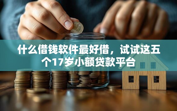 什么借钱软件最好借，试试这五个17岁小额贷款平台