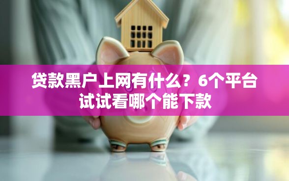 贷款黑户上网有什么？6个平台试试看哪个能下款