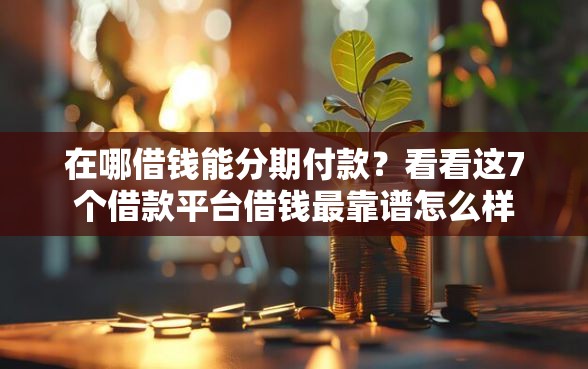 在哪借钱能分期付款？看看这7个借款平台借钱最靠谱怎么样