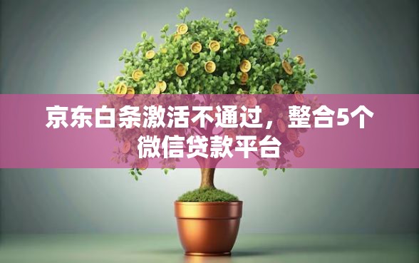 京东白条激活不通过，整合5个微信贷款平台