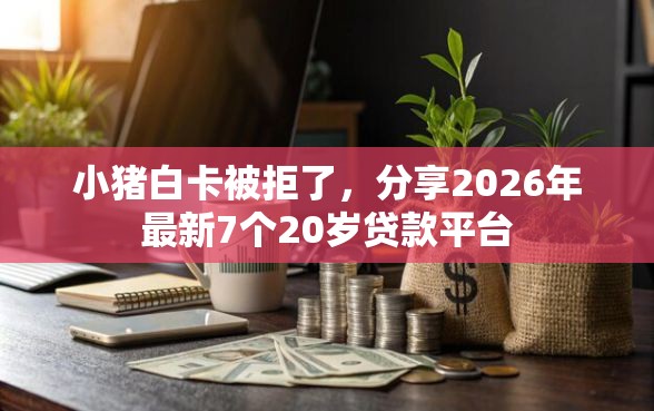 小猪白卡被拒了，分享2026年最新7个20岁贷款平台