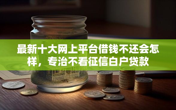 最新十大网上平台借钱不还会怎样，专治不看征信白户贷款