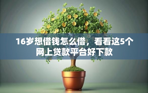 16岁想借钱怎么借，看看这5个网上贷款平台好下款