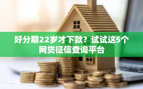 好分期22岁才下款？试试这5个网贷征信查询平台