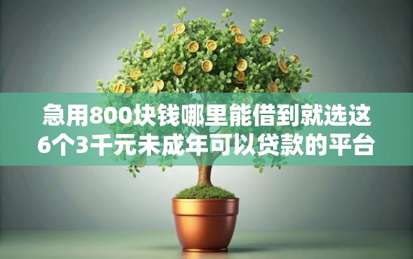 急用800块钱哪里能借到就选这6个3千元未成年可以贷款的平台