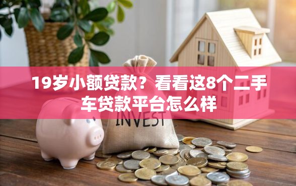 19岁小额贷款？看看这8个二手车贷款平台怎么样