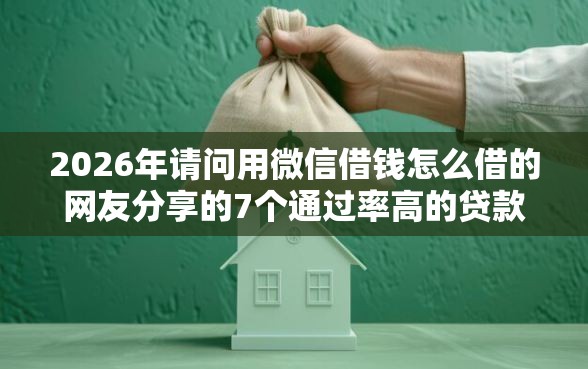 2026年请问用微信借钱怎么借的网友分享的7个通过率高的贷款平台我觉得不错！