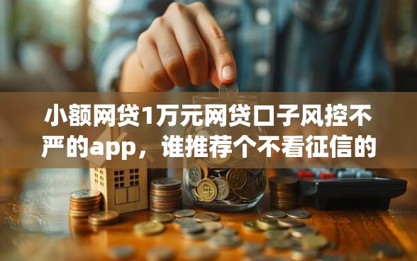 小额网贷1万元网贷口子风控不严的app，谁推荐个不看征信的网贷的5个平台介绍