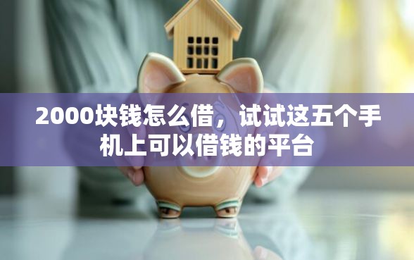 2000块钱怎么借，试试这五个手机上可以借钱的平台