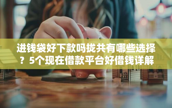 进钱袋好下款吗拢共有哪些选择？5个现在借款平台好借钱详解