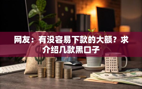 网友：有没容易下款的大额？求介绍几款黑口子