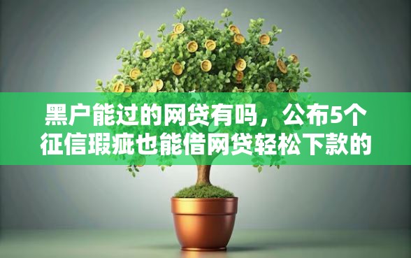 黑户能过的网贷有吗，公布5个征信瑕疵也能借网贷轻松下款的口子