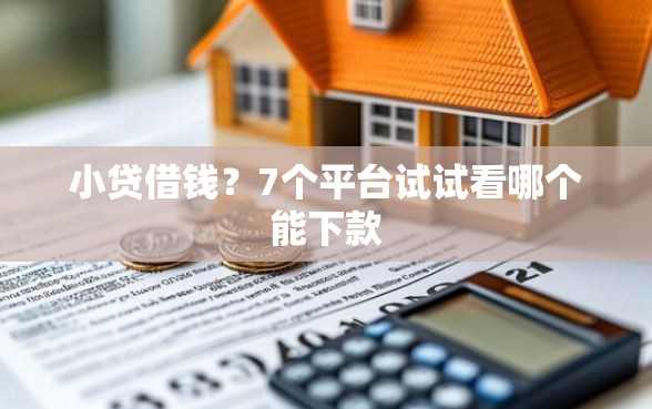 小贷借钱？7个平台试试看哪个能下款
