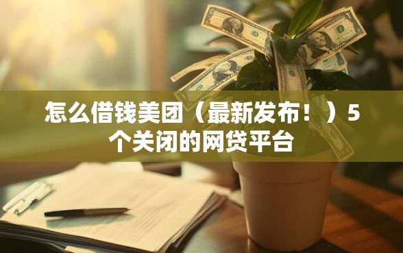 怎么借钱美团（最新发布！）5个关闭的网贷平台
