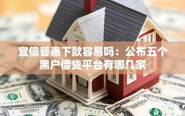 宜信普惠下款容易吗：公布五个黑户借贷平台有哪几家