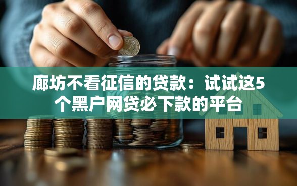 廊坊不看征信的贷款：试试这5个黑户网贷必下款的平台