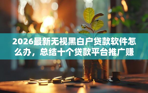 2026最新无视黑白户贷款软件怎么办，总结十个贷款平台推广赚佣金！