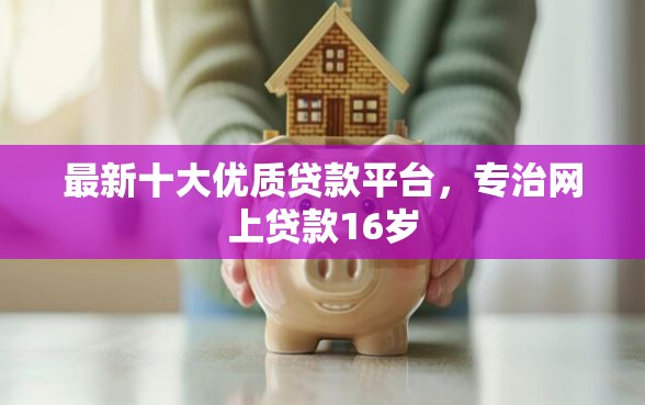 最新十大优质贷款平台，专治网上贷款16岁