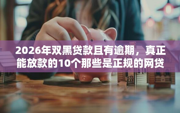 2026年双黑贷款且有逾期，真正能放款的10个那些是正规的网贷平台推荐