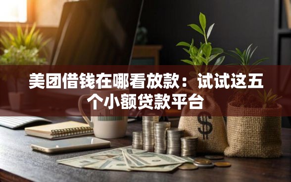 美团借钱在哪看放款：试试这五个小额贷款平台