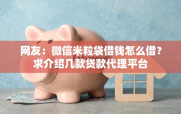 网友：微信米粒袋借钱怎么借？求介绍几款贷款代理平台
