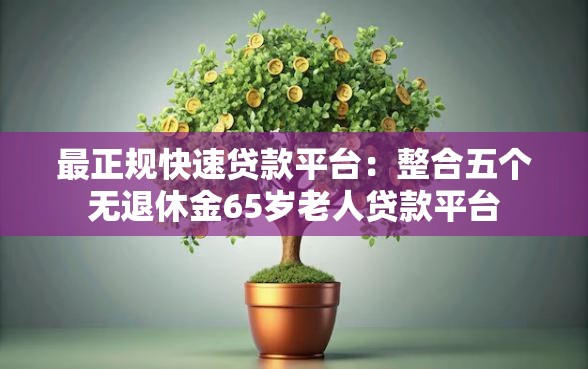 最正规快速贷款平台：整合五个无退休金65岁老人贷款平台