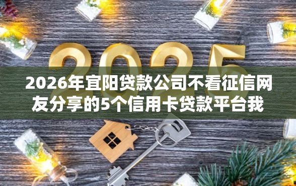 2026年宜阳贷款公司不看征信网友分享的5个信用卡贷款平台我觉得不错！