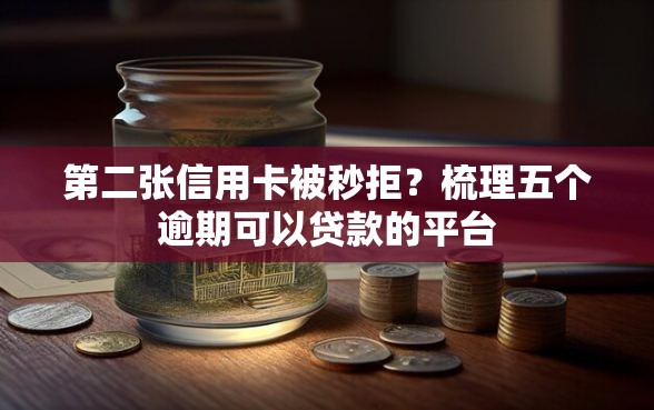 第二张信用卡被秒拒？梳理五个逾期可以贷款的平台