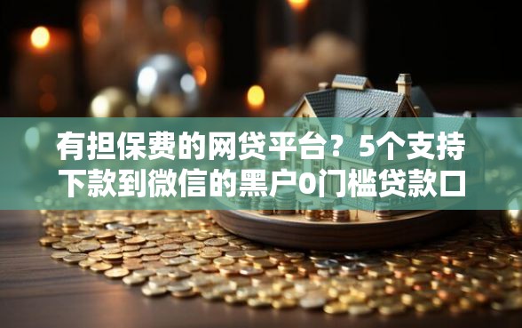 有担保费的网贷平台？5个支持下款到微信的黑户0门槛贷款口子