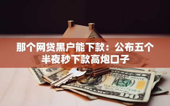 那个网贷黑户能下款：公布五个半夜秒下款高炮口子