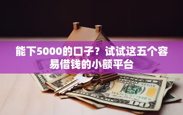 能下5000的口子？试试这五个容易借钱的小额平台