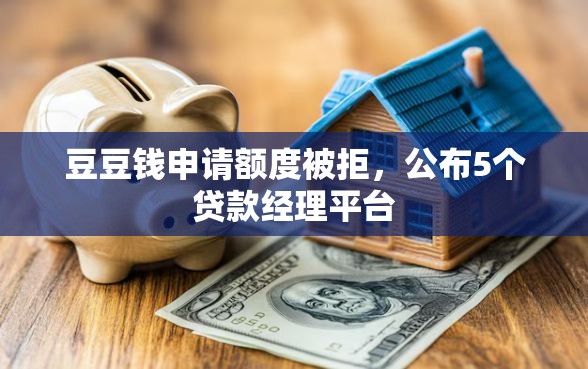 豆豆钱申请额度被拒，公布5个贷款经理平台